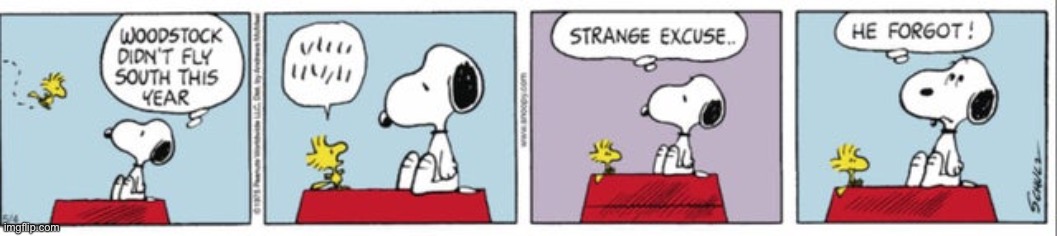 Daily Peanuts Comic Strip #12 | image tagged in peanuts,comics,classics,funny,snoopy,woodstock | made w/ Imgflip meme maker