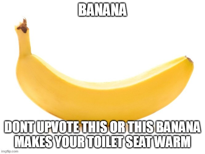 we all HATE warm toilet seats | BANANA; DONT UPVOTE THIS OR THIS BANANA
MAKES YOUR TOILET SEAT WARM | image tagged in banana,warm,funny,memes,cats,ukrainian lives matter | made w/ Imgflip meme maker