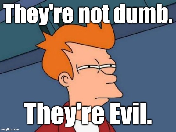 Fry is not sure... | They're not dumb. They're Evil. | image tagged in fry is not sure | made w/ Imgflip meme maker
