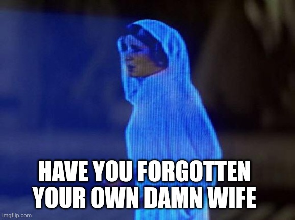 help me obi wan | HAVE YOU FORGOTTEN YOUR OWN DAMN WIFE | image tagged in help me obi wan | made w/ Imgflip meme maker