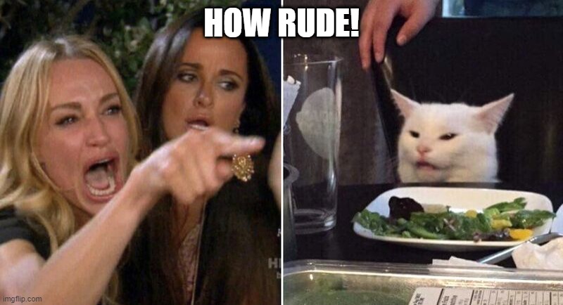 Woman Pointing at Cat | HOW RUDE! | image tagged in woman pointing at cat | made w/ Imgflip meme maker