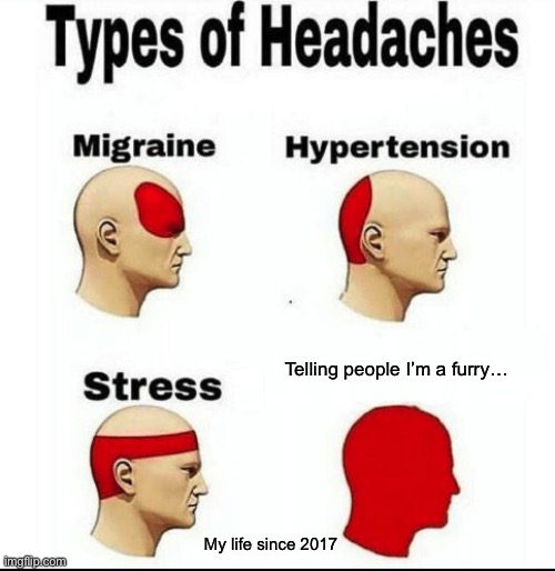 Types of Headaches meme | Telling people I’m a furry…; My life since 2017 | image tagged in types of headaches meme | made w/ Imgflip meme maker