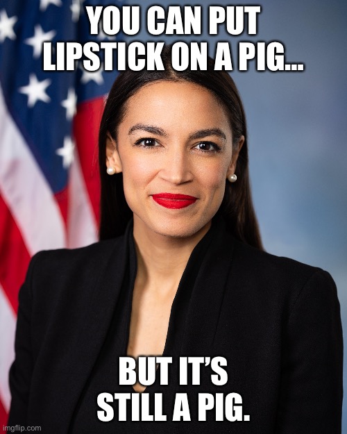 AOC | YOU CAN PUT LIPSTICK ON A PIG…; BUT IT’S STILL A PIG. | image tagged in aoc lipstick on a pig,the squad,aoc,lipstick on a pig,lipstick,ConservativeMemes | made w/ Imgflip meme maker