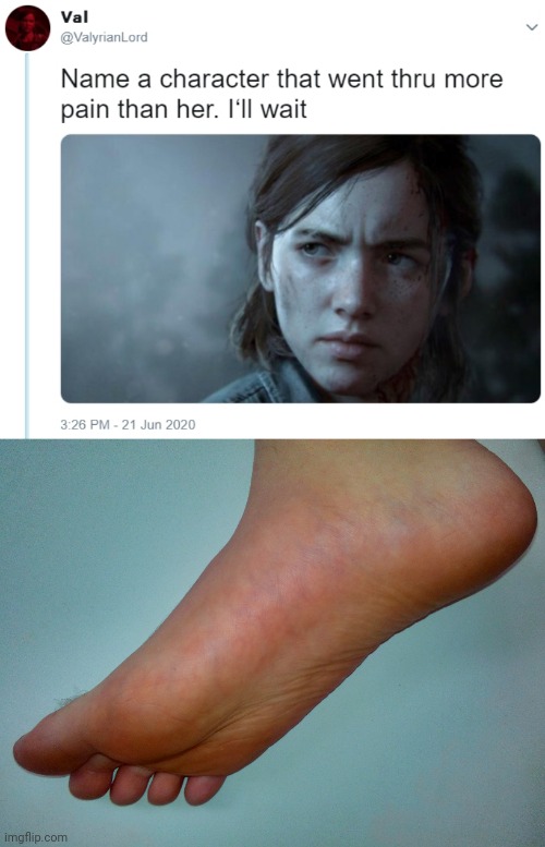 If you have ever stepped on lego or a bee you will understand | image tagged in name one character who went through more pain than her,memes,funny,funny memes,relatable,foot | made w/ Imgflip meme maker