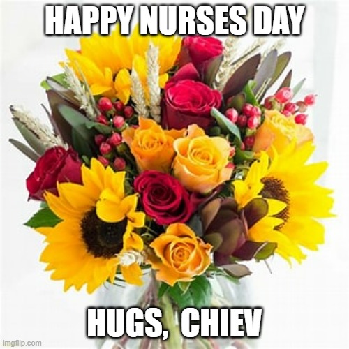 HAPPY NURSES DAY; HUGS,  CHIEV | made w/ Imgflip meme maker