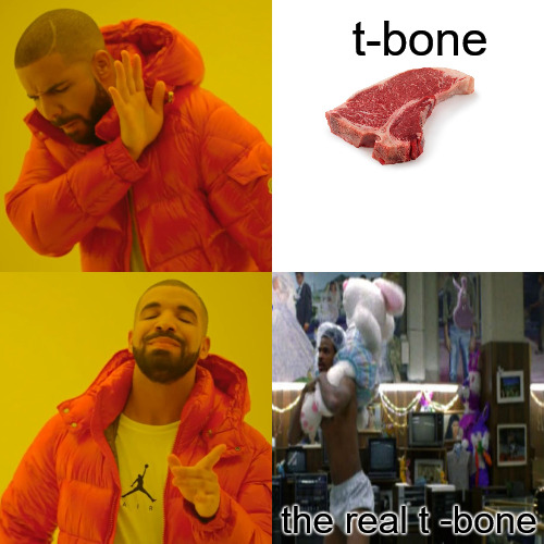 NO FAKES | t-bone; the real t -bone | image tagged in memes,drake hotline bling | made w/ Imgflip meme maker