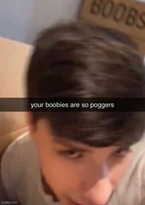 Your boobies are so poggers | image tagged in your boobies are so poggers | made w/ Imgflip meme maker