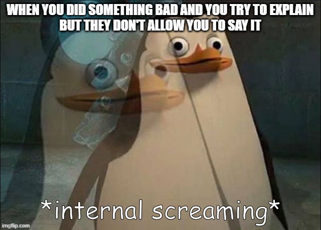 Is this true to you | WHEN YOU DID SOMETHING BAD AND YOU TRY TO EXPLAIN
BUT THEY DON'T ALLOW YOU TO SAY IT | image tagged in private internal screaming | made w/ Imgflip meme maker