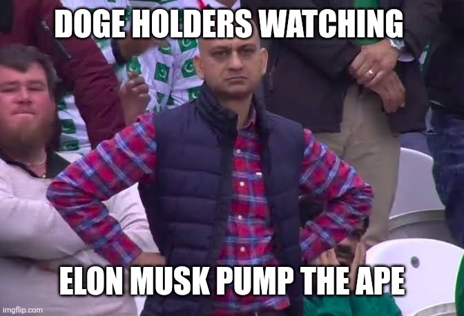 DOGE HODLERS | DOGE HOLDERS WATCHING; ELON MUSK PUMP THE APE | image tagged in disappointed man | made w/ Imgflip meme maker