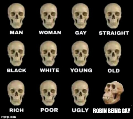 idiot skull | ROBIN BEING GAY | image tagged in idiot skull | made w/ Imgflip meme maker