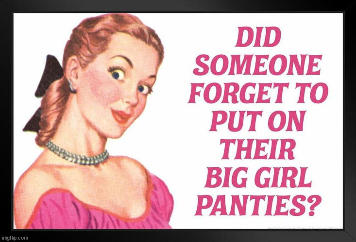 Did someone forget to put on their big girl panties? | image tagged in did someone forget to put on their big girl panties | made w/ Imgflip meme maker