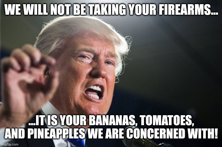 Deadly fruit!  Keep the tomatoes and pineapples hidden. | WE WILL NOT BE TAKING YOUR FIREARMS... ...IT IS YOUR BANANAS, TOMATOES, AND PINEAPPLES WE ARE CONCERNED WITH! | image tagged in donald trump | made w/ Imgflip meme maker