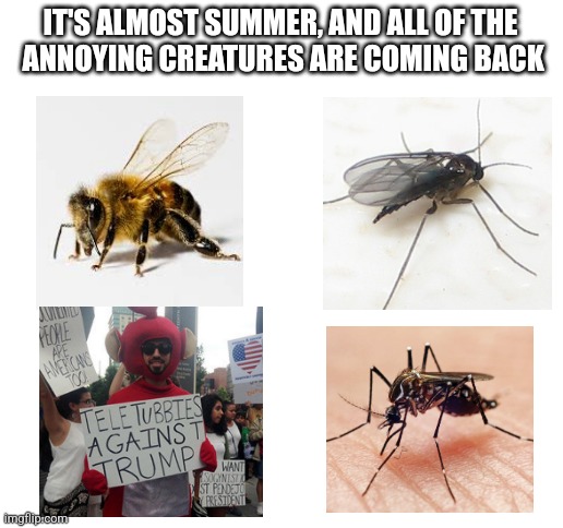 Blank White Template | IT'S ALMOST SUMMER, AND ALL OF THE
 ANNOYING CREATURES ARE COMING BACK | image tagged in blank white template | made w/ Imgflip meme maker