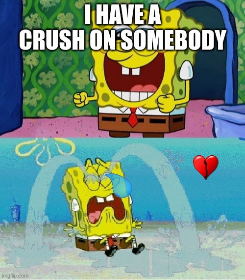 spongebob happy and sad | I HAVE A CRUSH ON SOMEBODY | image tagged in spongebob happy and sad | made w/ Imgflip meme maker