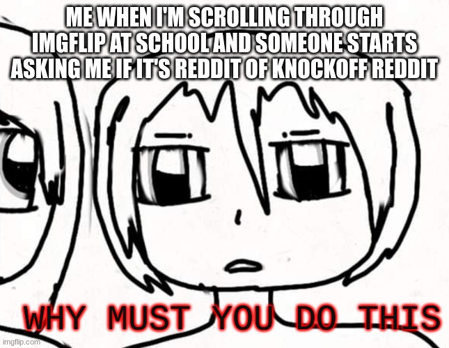 like stfu plz just let me scroll through memes in peace | ME WHEN I'M SCROLLING THROUGH IMGFLIP AT SCHOOL AND SOMEONE STARTS ASKING ME IF IT'S REDDIT OF KNOCKOFF REDDIT; WHY MUST YOU DO THIS | image tagged in why must you do this,why,please stop | made w/ Imgflip meme maker