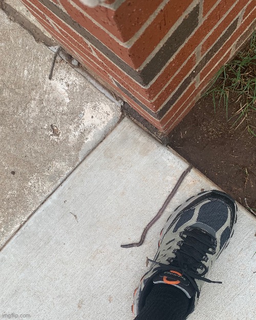 Yeah this worm doesn’t stand for Ukraine. | made w/ Imgflip meme maker