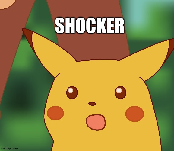Surprised Pikachu finds out that idiots belong to the majority category |  SHOCKER | image tagged in surprised pikachu hd,idiots,statistics | made w/ Imgflip meme maker