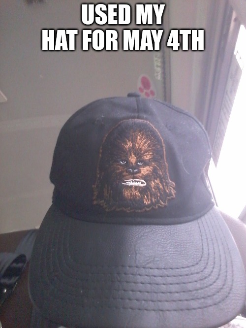 USED MY HAT FOR MAY 4TH | image tagged in memes | made w/ Imgflip meme maker