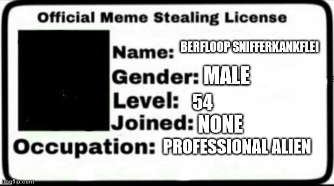 Meme Stealing License | BERFLOOP SNIFFERKANKFLEI; MALE; 54; NONE; PROFESSIONAL ALIEN | image tagged in meme stealing license | made w/ Imgflip meme maker