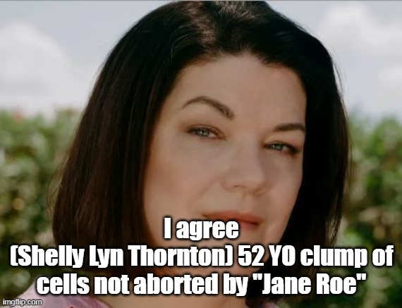 I agree
(Shelly Lyn Thornton) 52 YO clump of cells not aborted by "Jane Roe" | made w/ Imgflip meme maker