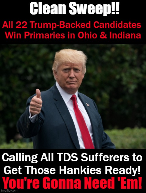 Flood of November TEARS Coming in  to a Liberal State Near You! | Clean Sweep!! All 22 Trump-Backed Candidates 

Win Primaries in Ohio & Indiana; Calling All TDS Sufferers to
Get Those Hankies Ready! You're Gonna Need 'Em! | image tagged in politics,donald trump,november,liberal tears,tds,winning | made w/ Imgflip meme maker
