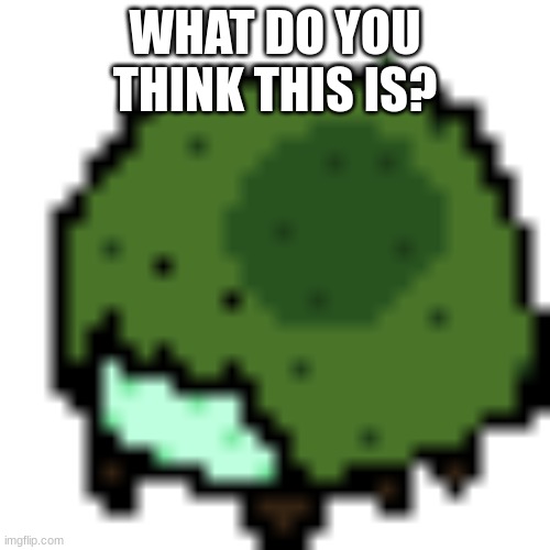 try do guess what this is i bet no one will get it | WHAT DO YOU THINK THIS IS? | image tagged in memes,funny memes,guess,guess what | made w/ Imgflip meme maker