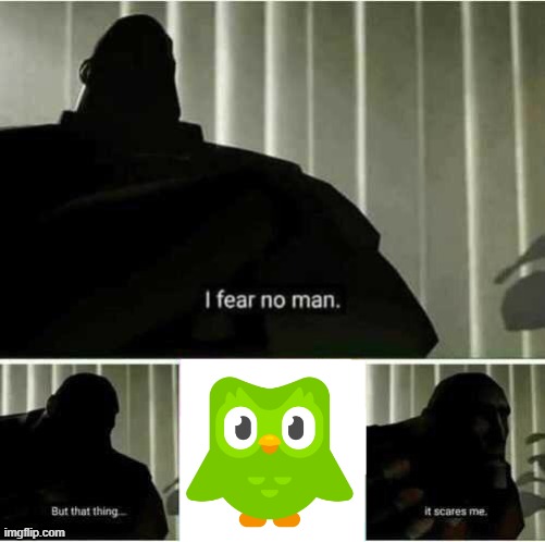You better not miss a lesson | image tagged in i fear no man,duolingo,memes,funny | made w/ Imgflip meme maker