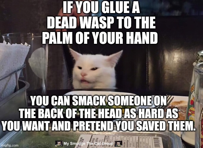 IF YOU GLUE A DEAD WASP TO THE PALM OF YOUR HAND; YOU CAN SMACK SOMEONE ON THE BACK OF THE HEAD AS HARD AS YOU WANT AND PRETEND YOU SAVED THEM. | image tagged in smudge the cat | made w/ Imgflip meme maker