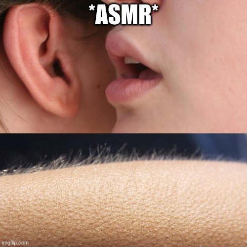 ASMR |  *ASMR* | image tagged in whisper and goosebumps | made w/ Imgflip meme maker