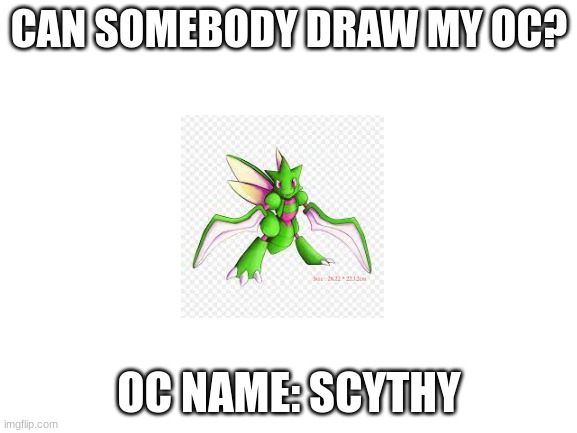 Yes my oc is a pokemon | CAN SOMEBODY DRAW MY OC? OC NAME: SCYTHY | image tagged in blank white template | made w/ Imgflip meme maker