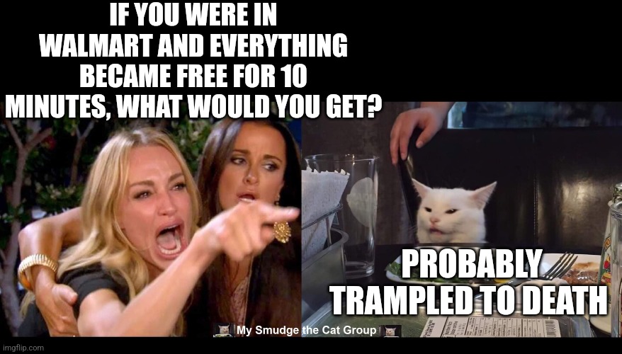 IF YOU WERE IN WALMART AND EVERYTHING BECAME FREE FOR 10 MINUTES, WHAT WOULD YOU GET? PROBABLY TRAMPLED TO DEATH | image tagged in smudge the cat | made w/ Imgflip meme maker