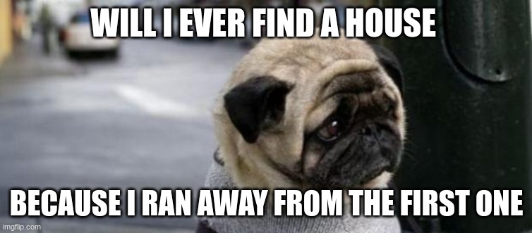 Sad pug | WILL I EVER FIND A HOUSE; BECAUSE I RAN AWAY FROM THE FIRST ONE | image tagged in sad pug | made w/ Imgflip meme maker