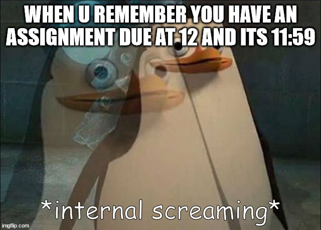 Private Internal Screaming | WHEN U REMEMBER YOU HAVE AN ASSIGNMENT DUE AT 12 AND ITS 11:59 | image tagged in private internal screaming | made w/ Imgflip meme maker