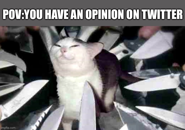 Scary twitter |  POV:YOU HAVE AN OPINION ON TWITTER | image tagged in scary,meow | made w/ Imgflip meme maker
