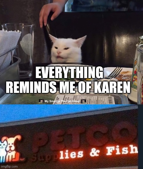 EVERYTHING REMINDS ME OF KAREN | image tagged in smudge the cat,karen | made w/ Imgflip meme maker