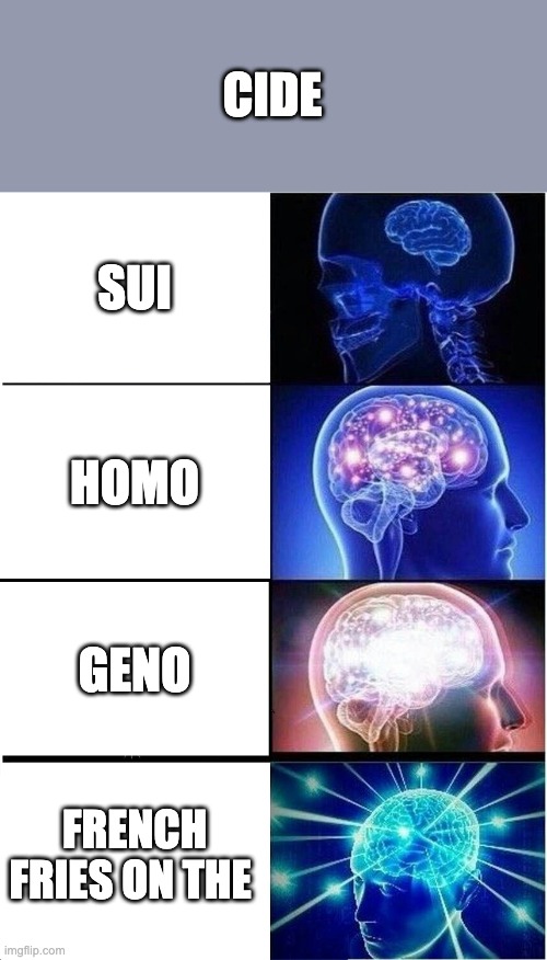 Expanding Brain | CIDE; SUI; HOMO; GENO; FRENCH FRIES ON THE | image tagged in memes,expanding brain | made w/ Imgflip meme maker