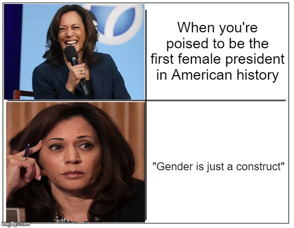 Hoisted by my own retard | When you're poised to be the first female president in American history; "Gender is just a construct" | image tagged in 4 square grid | made w/ Imgflip meme maker