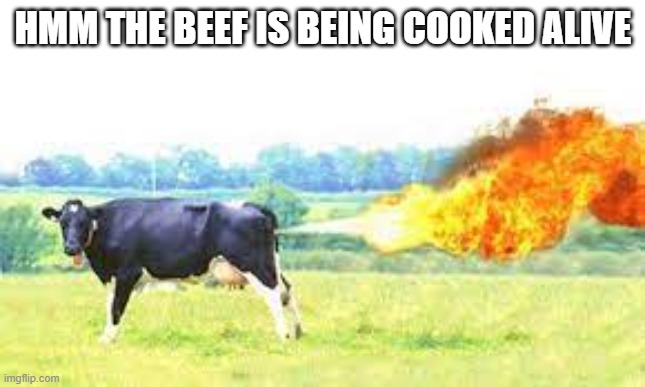 beef | HMM THE BEEF IS BEING COOKED ALIVE | image tagged in cow,funny,funny memes,funny meme,fun | made w/ Imgflip meme maker