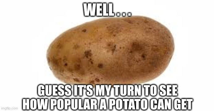 A potato |  WELL . . . GUESS IT'S MY TURN TO SEE HOW POPULAR A POTATO CAN GET | image tagged in memes,potato,popular | made w/ Imgflip meme maker