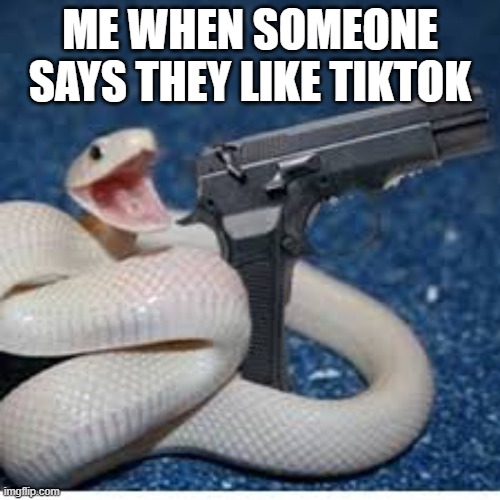 tiktok sucks tbh | ME WHEN SOMEONE SAYS THEY LIKE TIKTOK | image tagged in snake got gun | made w/ Imgflip meme maker