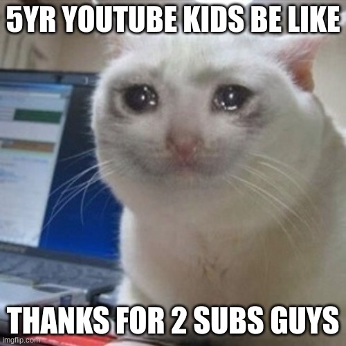 Crying cat | 5YR YOUTUBE KIDS BE LIKE; THANKS FOR 2 SUBS GUYS | image tagged in crying cat | made w/ Imgflip meme maker