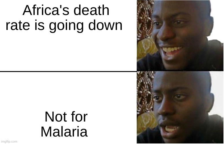 Disappointed Black Guy | Africa's death rate is going down; Not for Malaria | image tagged in disappointed black guy | made w/ Imgflip meme maker