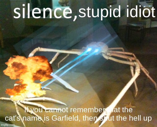 Silence Crab | stupid idiot If you cannot remember that the cat's name is Garfield, then shut the hell up | image tagged in silence crab | made w/ Imgflip meme maker