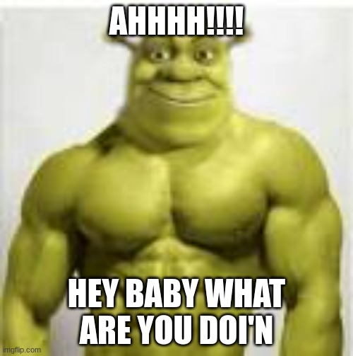 AHHHH!!!! HEY BABY WHAT ARE YOU DOI'N | image tagged in buff shrek,shirtless | made w/ Imgflip meme maker