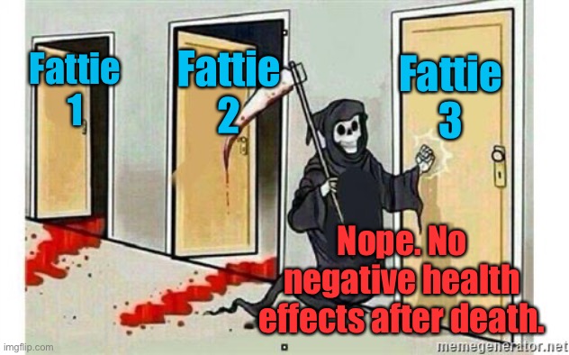Grim Reaper Knocking Door | Fattie 1 Fattie 2 Fattie 3 Nope. No negative health effects after death. | image tagged in grim reaper knocking door | made w/ Imgflip meme maker