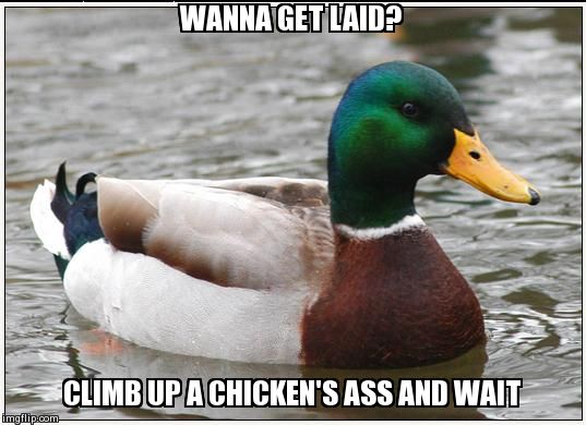 Actual Advice Mallard | WANNA GET LAID? CLIMB UP A CHICKEN'S ASS AND WAIT | image tagged in memes,actual advice mallard | made w/ Imgflip meme maker