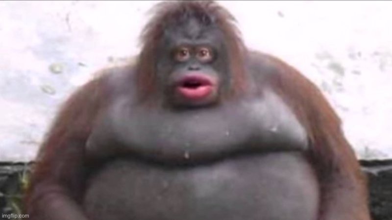 Uh oh stinky | image tagged in uh oh stinky | made w/ Imgflip meme maker