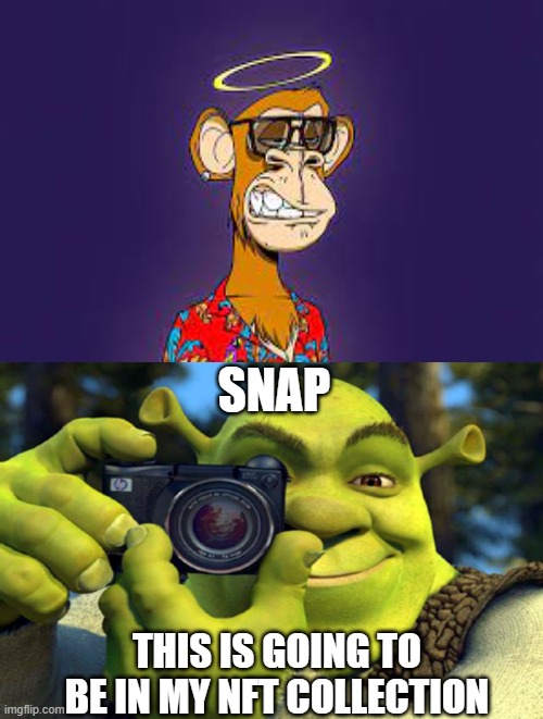 snap | SNAP; THIS IS GOING TO BE IN MY NFT COLLECTION | image tagged in shrek camera,nft | made w/ Imgflip meme maker