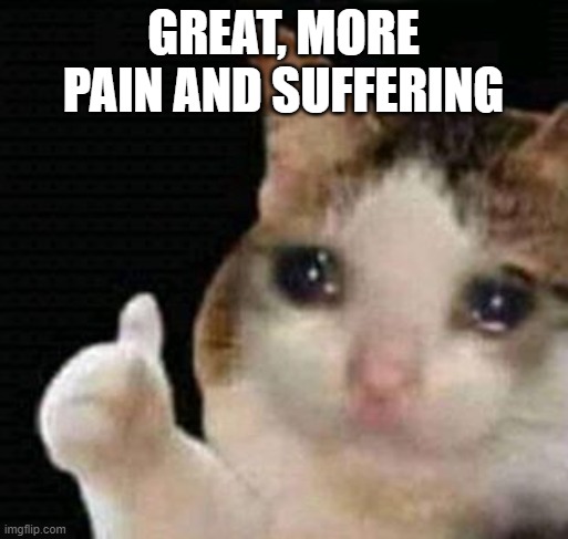 sad thumbs up cat | GREAT, MORE PAIN AND SUFFERING | image tagged in sad thumbs up cat | made w/ Imgflip meme maker