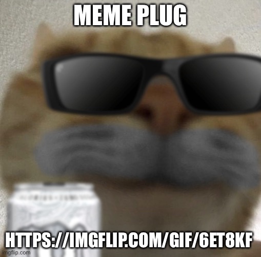 Pls check it out | MEME PLUG; HTTPS://IMGFLIP.COM/GIF/6ET8KF | image tagged in kool kat | made w/ Imgflip meme maker